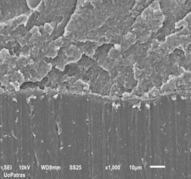 A careful look at the SEM images of the unaged and aged MWCNT/PA6 samples (Fig.