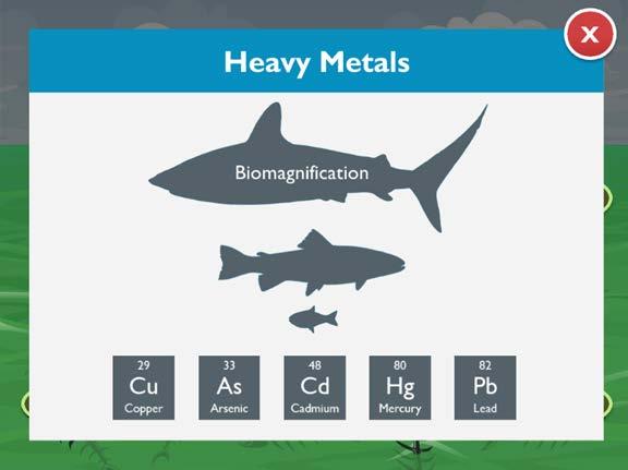 Heavy metals include lead, mercury, cadmium, arsenic, and copper. Sources of heavy metals include waste incineration, industrial work, runoff, coal combustion, oil refining, and gas fumes.