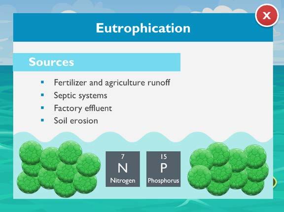 Eutrophication occurs when excess nutrients such as nitrogen and phosphorus run off the land and enter the ocean, where they can cause algae or