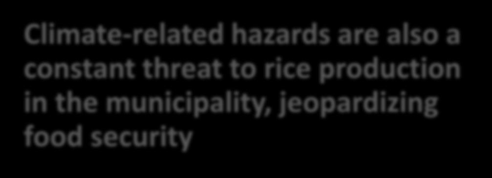 hazards are also a constant threat to rice