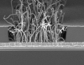 Carbon Nano Tubes (CNT) growth or