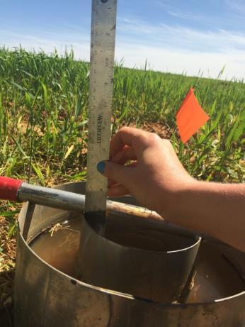 concentration Wet and dry limits 0-30 cm depth Soil auger