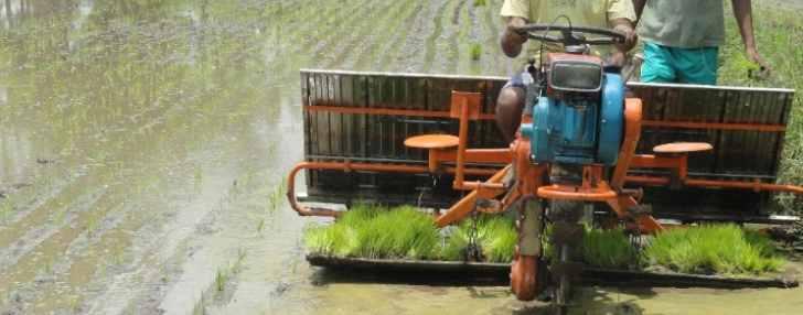 TRANSPLANTING VST SHAKTI RICE TRANSPLANTER VST Shakti Rice Transplanter is used to transplant rice seedlings onto paddy field.