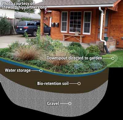 Different Rain Garden Designs Illustrates depression and loosened tilled soils Ideal for clay sites