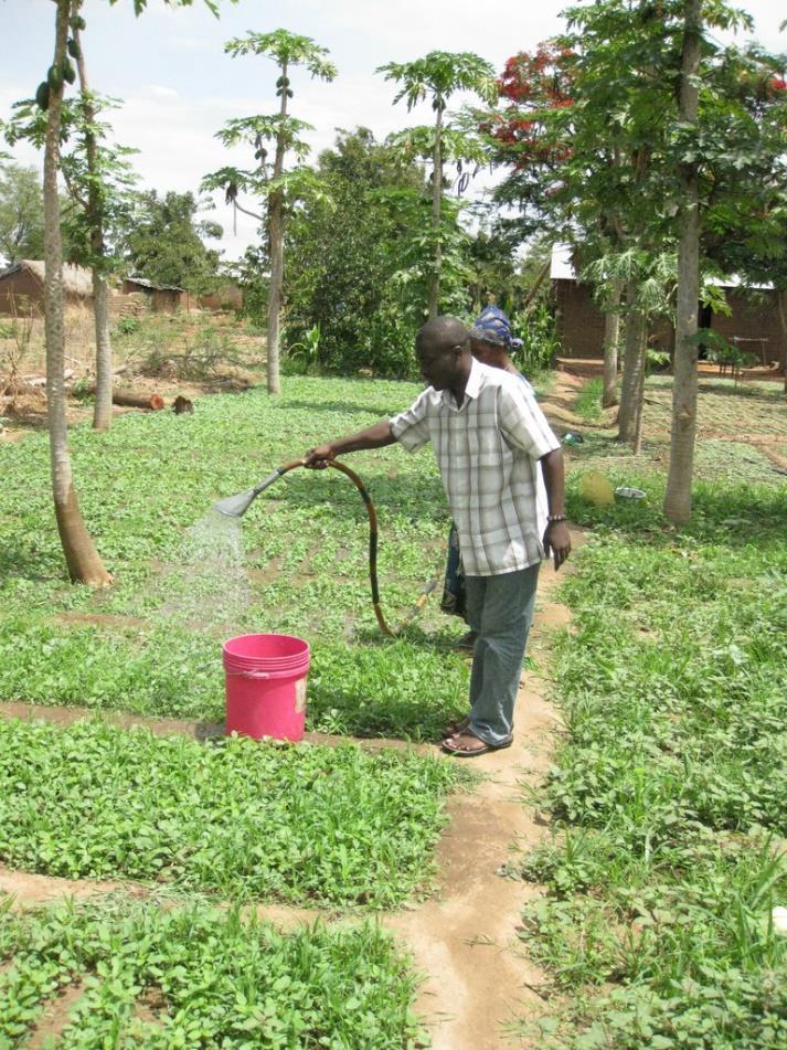 IRRIGATION IMPROVES NUTRITION INDICATORS (TZ/ETH) Irrigation significantly improves household income (from agricultural production) and production diversity Increasing household income leads to