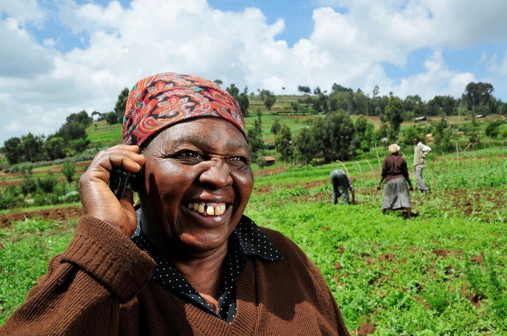 Microfinance Can Increase SSI Adoption: WOMEN LACK EQUAL ACCESS Opportunities Group lending with women or women/men farmers Challenges Women have lower access