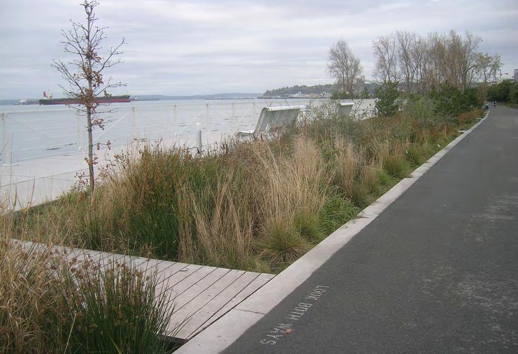 San Francisco Stormwater Management Requirements and Design Guidelines Boardwalks provide access across