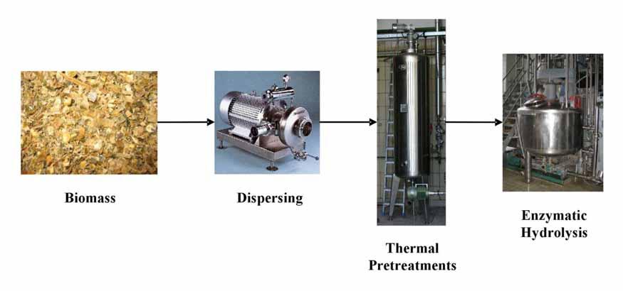Dispersing of the biomass and thermal hydrolysis at lower temperatures Temperatures up to 160 C No acid or other