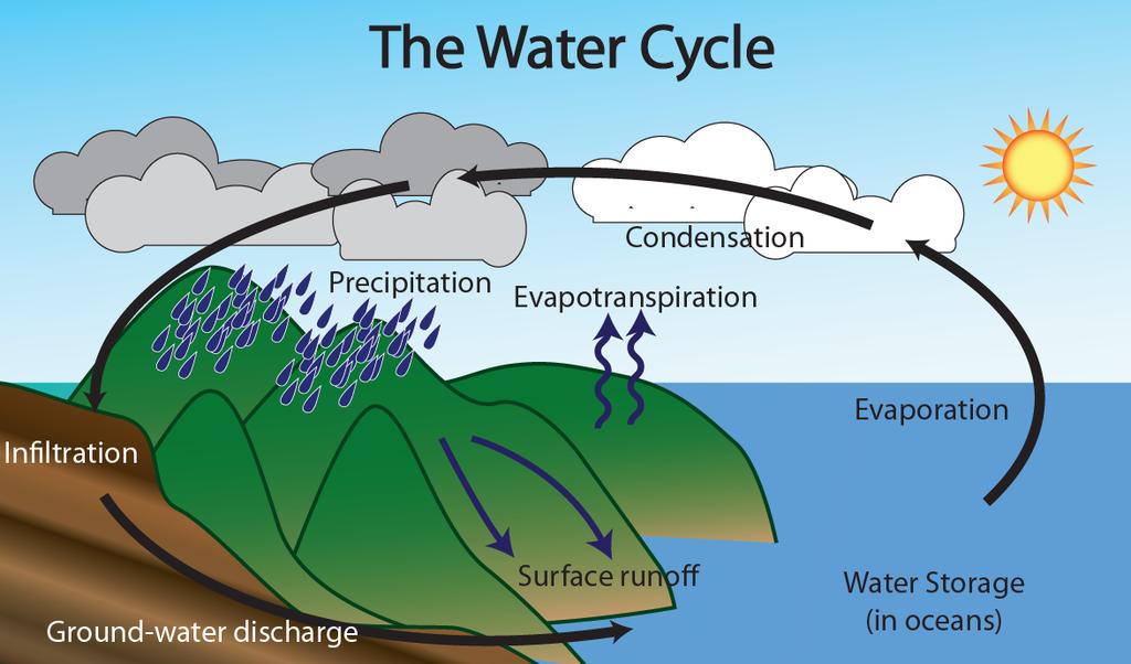 In order for water to change phase from a liquid on the land to a gas in the atmosphere, heat energy must be added to the water molecule. The Sun is the usual source of heat in the water cycle.