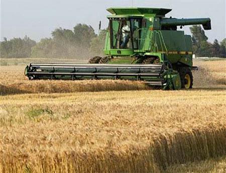 FORAGE SEED BUSINESS IN BRAZIL The forage seed demand come mainly from grass.