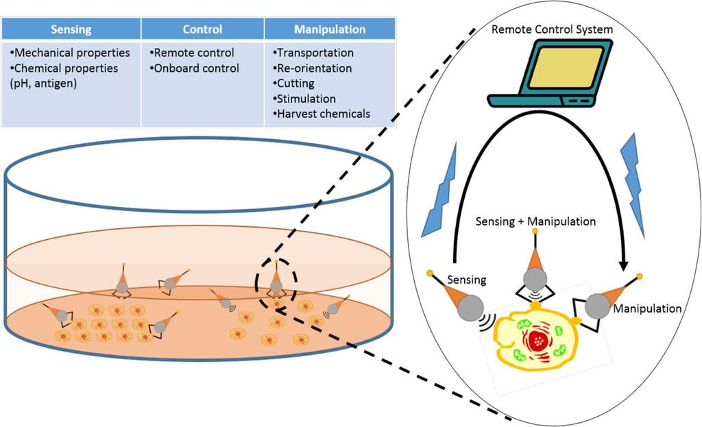 Fig. 10. Conceptual figure/illustration showing all potential applications of microrobotic cell manipulation. and communication with the operator.
