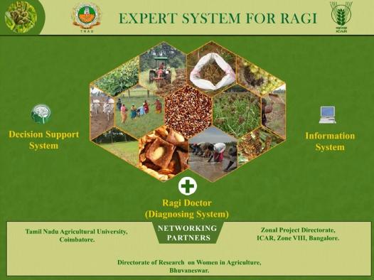 Expert System: e-doctor for Crops and Animal Husbandry Expert systems for crops like paddy,