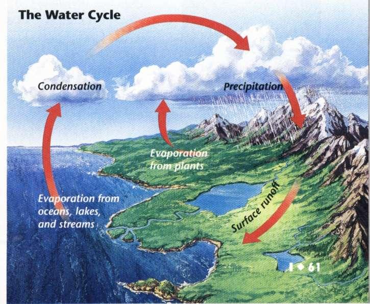 Natural Desalination: Water Cycle! Major Stages 1.