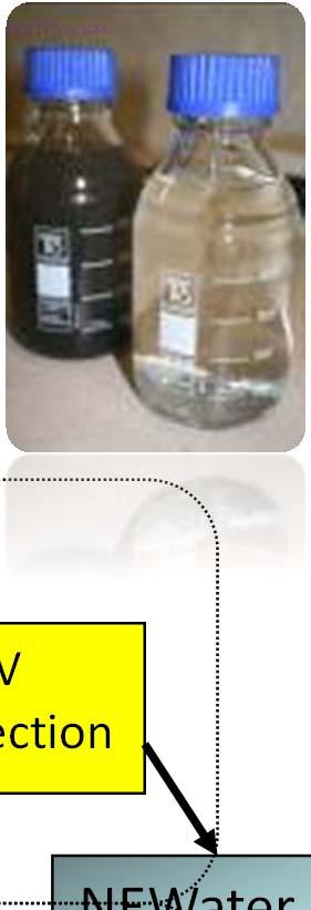 Secondary clarifier MF/UF UV disinfection Domestic wastewater NEWater Primary Sedimentation tanks Membrane Biorector UV