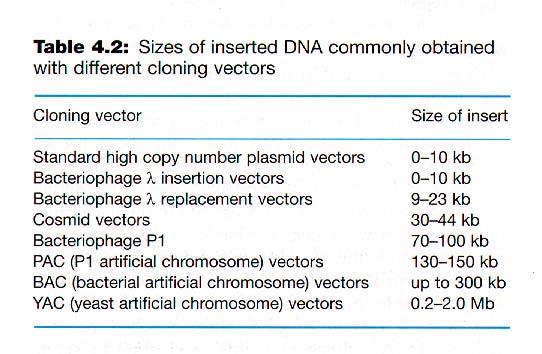 Cloning systems Vector