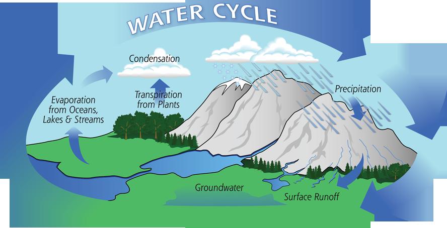 Groundwater Groundwater is water that has permeated or percolated into