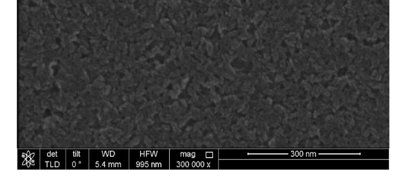 Scanning electron microscopy (SEM) image of TiO 2 nanoparticles films deposited on glass/ito substrates.