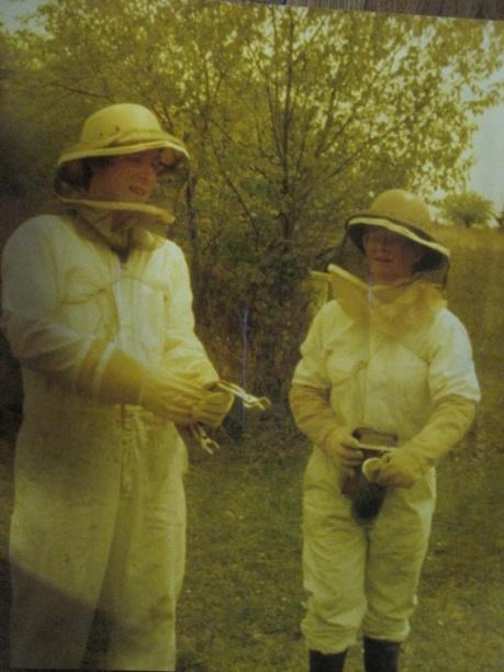 Beekeeping Mentors