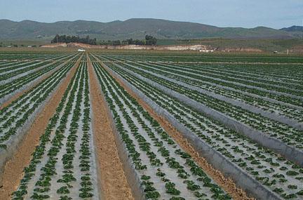 Keys to efficient irrigation : Tie irrigation volume to environmental demand