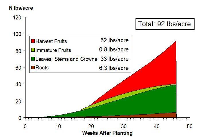How much N does a strawberry crop need, and when does it need it?