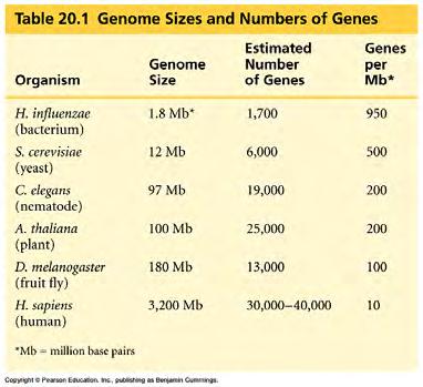 Genome sizes Gene density