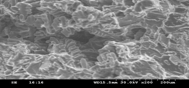 Scanning Electron Microscope test too reveals this Scanning Electron micrographs (SEM) of the different volume fraction of ZrO 2 particles with LM25 are shown in the Figures 14 to 18.