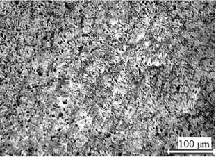 This is clear from the Figure 9 (a-e), which shows optical microscopy images. The LM25/ZrO 2 composites show fine grains of Al-Zr eutectic in aluminium solid solution.