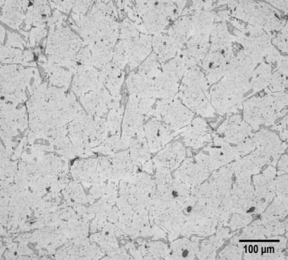 Microstructure of LM25