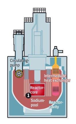 reactor ROSATOM TM