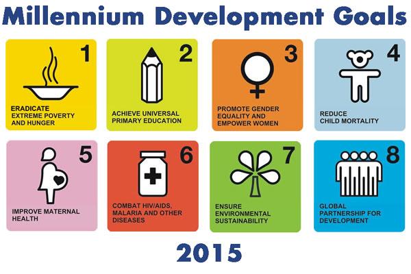 Cost of Attaining each Millennium Development Goal $40-60