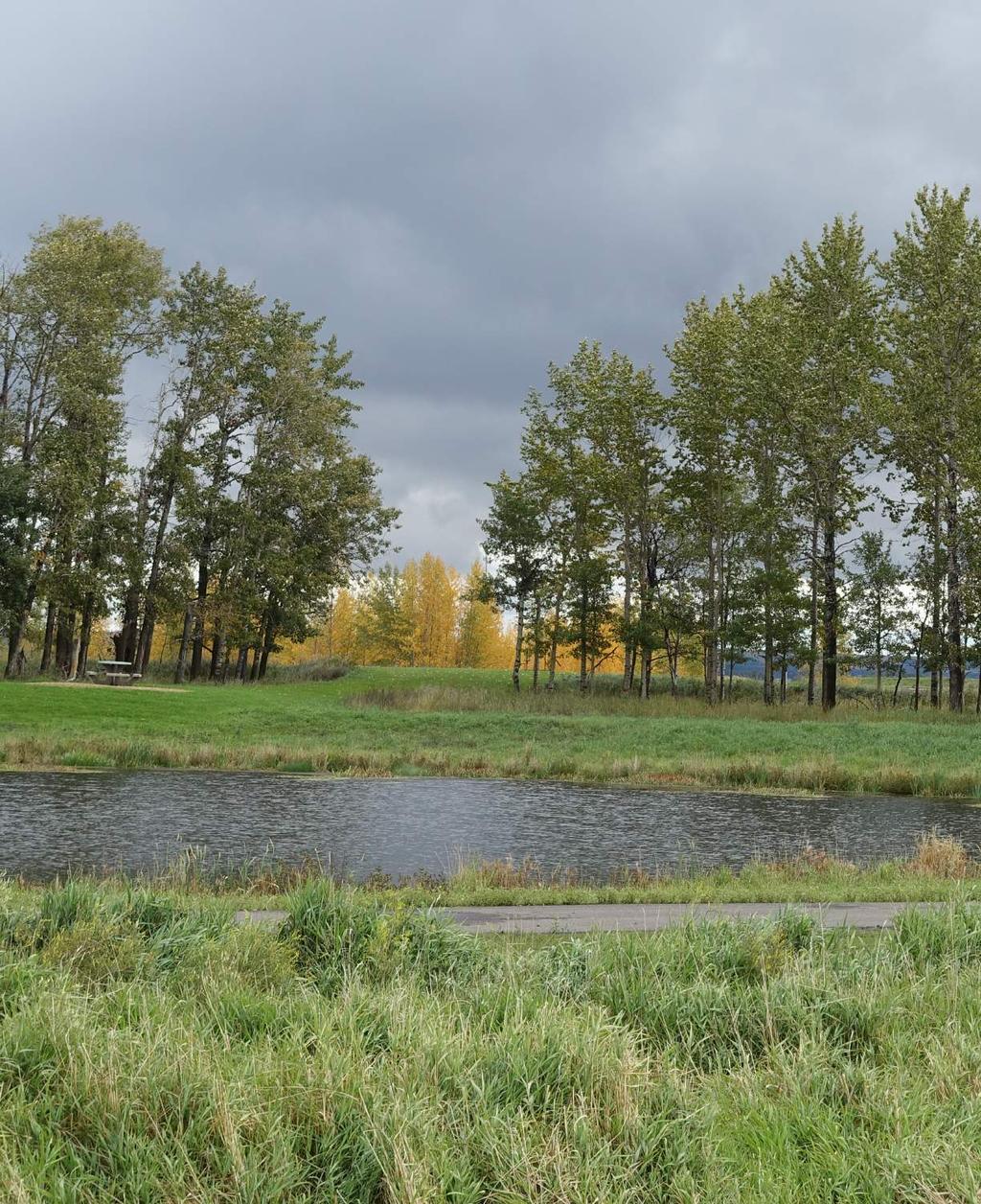 Standards for SWMF s (Stormwater Management Facilities) Lacombe