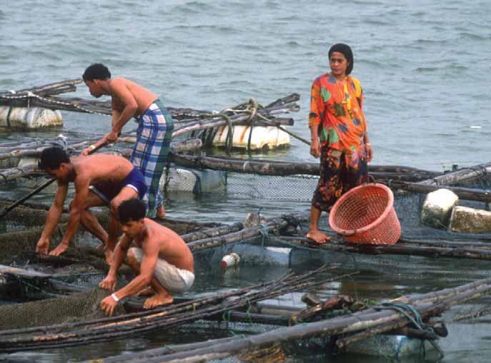 ENVIRONMENT The interactions and dependence between, on the one hand, fisheries and aquaculture and, on the other, the features of natural resources and environments lie at the heart of sustainable