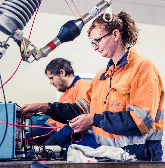Journey and status of Mental Health & Wellbeing in the Australian energy networks sector Energy Networks Australia is committed to the work, health and safety of the energy sector s workforce and to