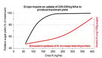 Nitrogen Nitrogen (N) is a major component of the proteins and enzymes that drive plant growth.