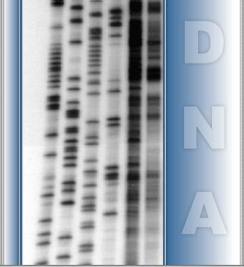 Other DNA Technologies: Polymerase Chain Reaction (PCR); Human