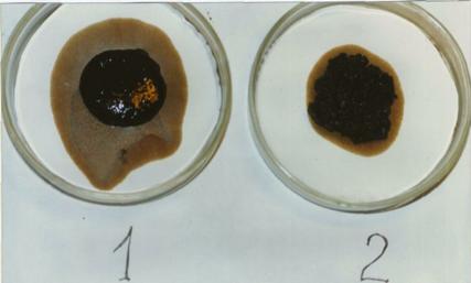 Picture 3: Separation of different fractions in the oil-water emulsion after treatment.