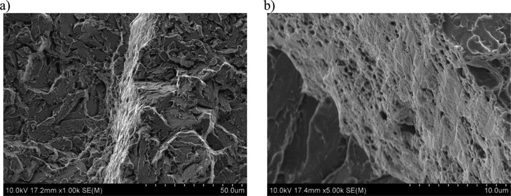 SEM images of transgranular fracture mode separated by dimple fracture area, a) general view, b) crack origin, c-d) transition region The present study has demonstrated that: The crack initiation