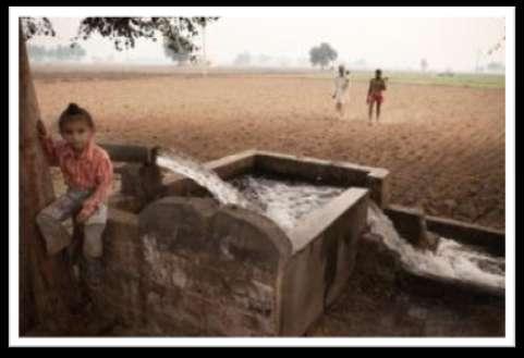 GROUNDWATER IN PUNJAB: CRITICAL SITUATION In Punjab, the number of tube wells have increased from 1.