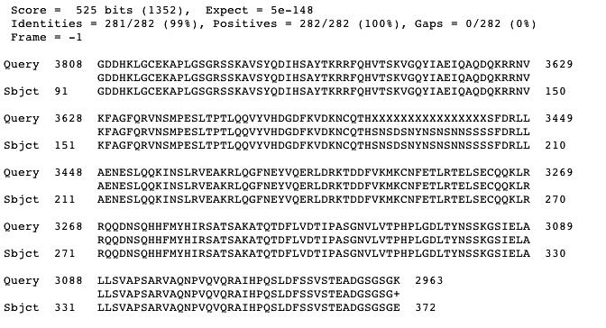 Figure 13. blastx with repeat-masked query sequence Around amino acid 190 of the protein (subject) sequence, you will see a string of X s representing masked residues (Figure 13) in the query.