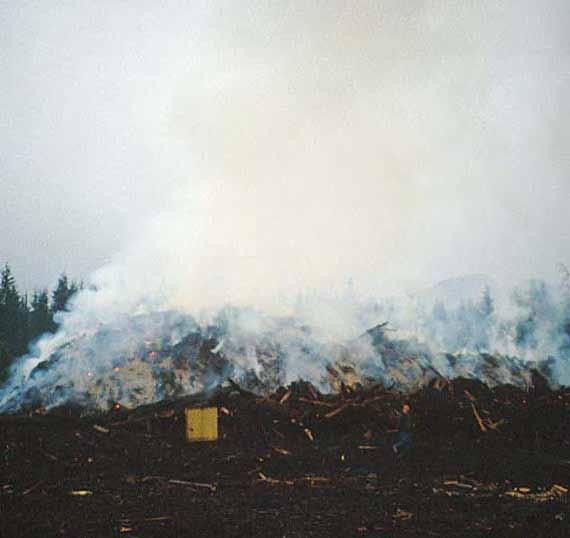 Why hog piles catch fire or rot?