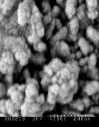 10 shows the SEM image of a CIS film deposited at -0.75 V vs. SCE and annealed at 350 o C for one hour.