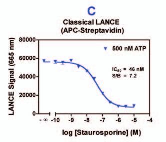 Evaluation of assay performance Staurosporine is a broad spectrum kinase inhibitor competing for ATP binding.