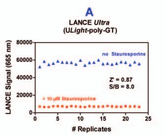 Dilutions of staurosporine ranging from 100 pm to 10 µm were pre-incubated for 10 min at RT using optimized Src and substrate conditions.