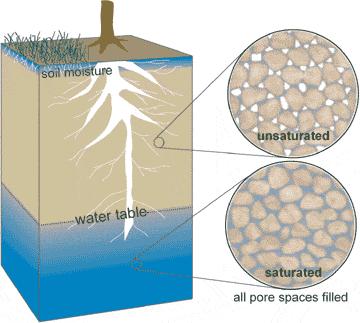 The line dividing this zone of saturation from the soil which is not full of water is called the water table. Because the amount of water in the soil changes, the water table rises and falls.