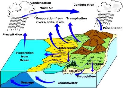 Figure 5: Hydrologic Cycle