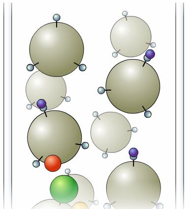 between molecules 1- Incubate