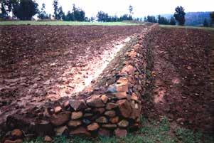 ANNEXES TO CHAPTER 4 8. STONE FACED SOIL BUNDS (SFB) The stone-faced soil bunds are reinforced soil bunds in one or both their sides. SFB offer strong resistance against runoff.