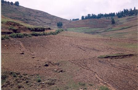ANNEXES TO CHAPTER 2 Effect on Soils by Loss of Vegetation and Poor Land Management Practices Loss of top soil through erosion results in less production, less feed for