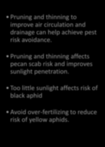 Too little sunlight affects risk of black aphid Avoid over-fertilizing to reduce risk of yellow aphids.
