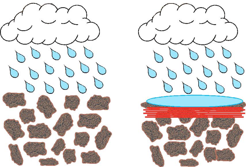 Figure 4. Degrees of soil dispersion due to soil sodicity through the disintegration of soil particles (Photo courtesy of Alison Lacey, Copyright Western Australian Agriculture Authority, 2009).